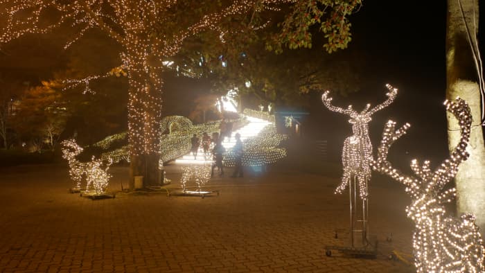 クリスマスデートにおすすめ 鹿児島市のイルミネーション5選 かご旅 鹿児島の観光名所や温泉 グルメ情報ガイド